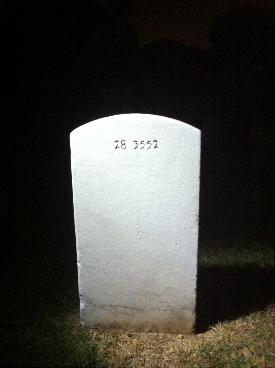 Back of headstone — William T Johnson