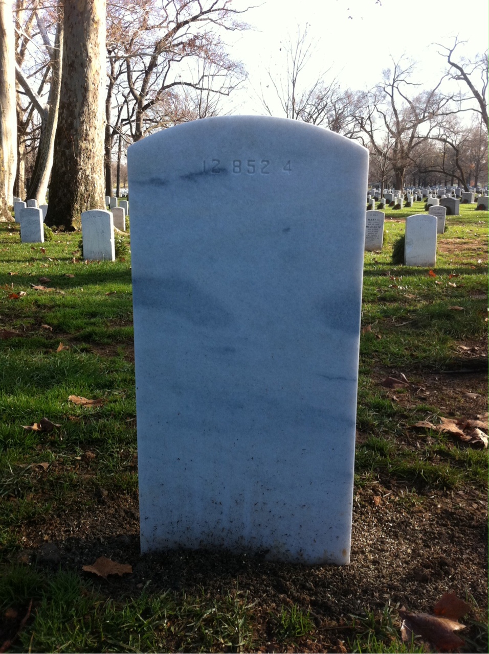 Back of headstone — Albert Mitchell