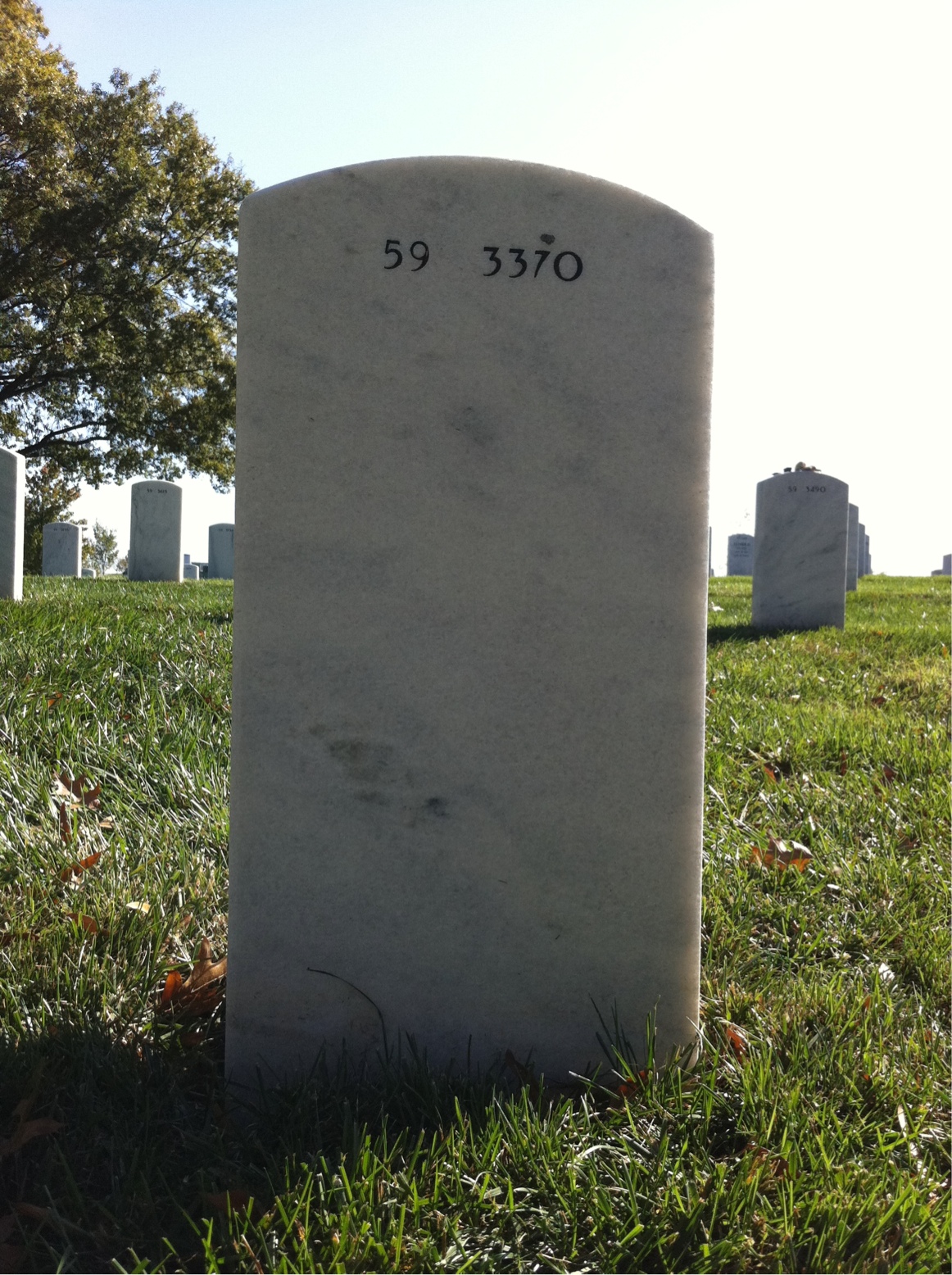 Back of headstone — Charles Dryden
