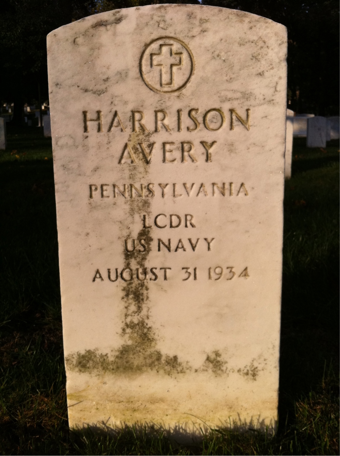 Harrison Avery