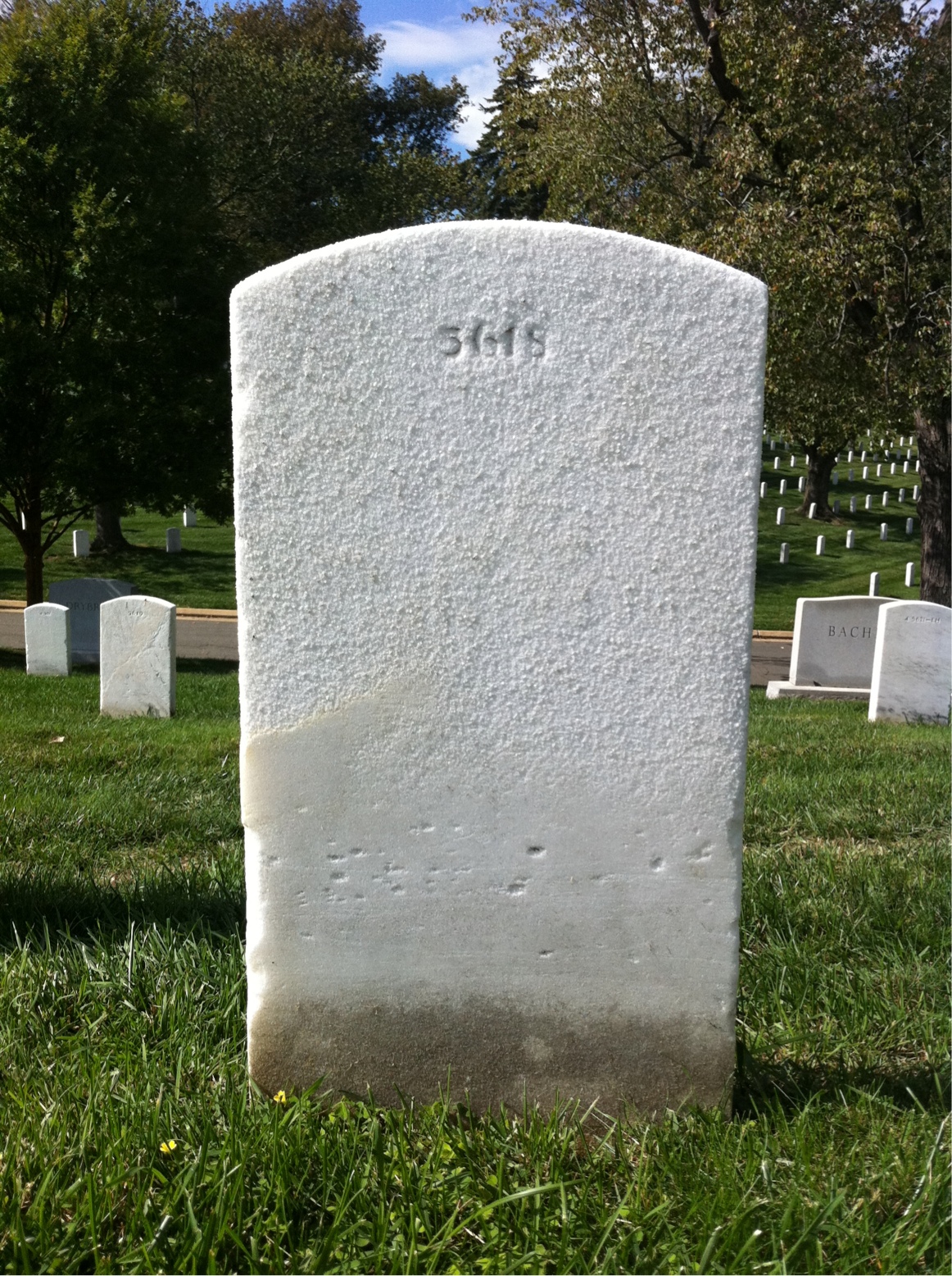 Back of headstone — True Miller