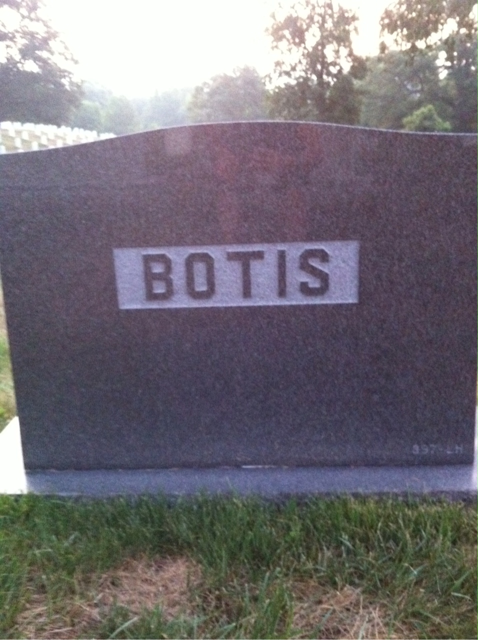 Back of headstone — Lawrence Botis
