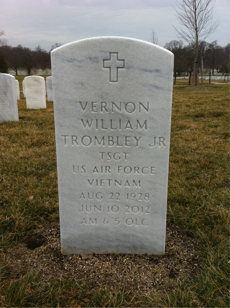 Vernon W Trombley