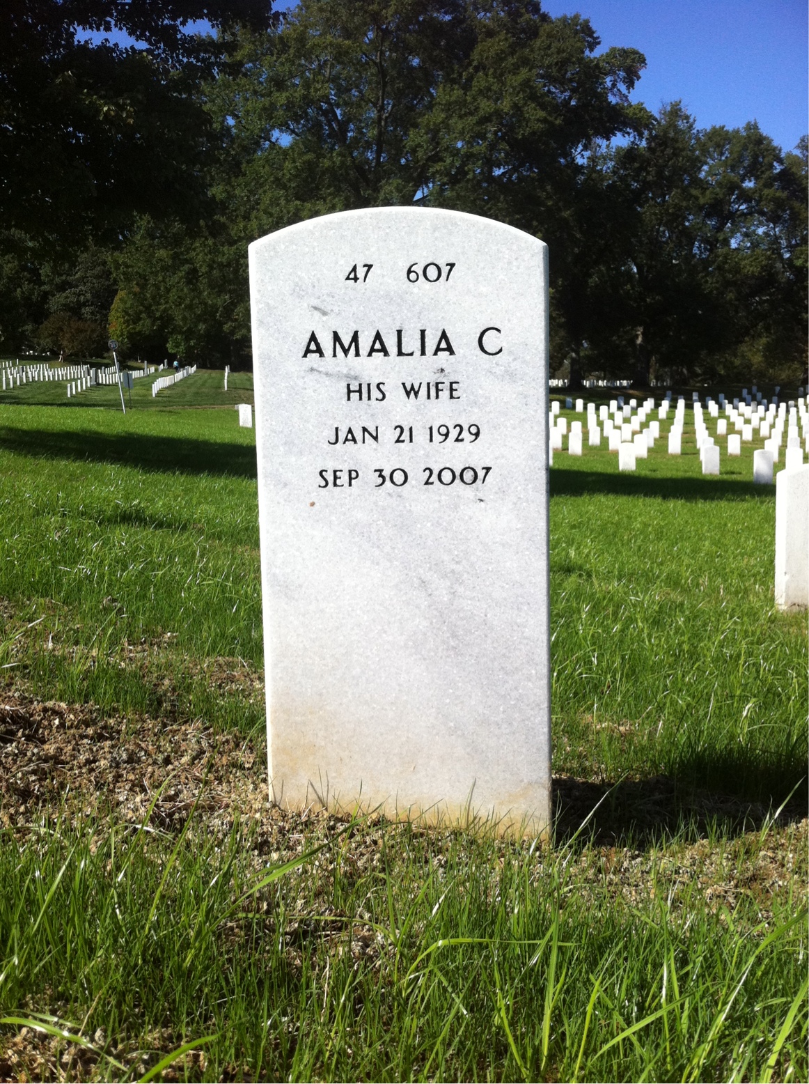 Back of headstone — Elbert Cassell