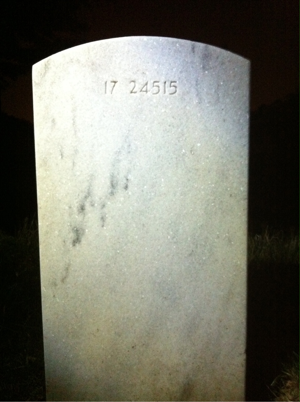 Back of headstone — William Odell Jenkins