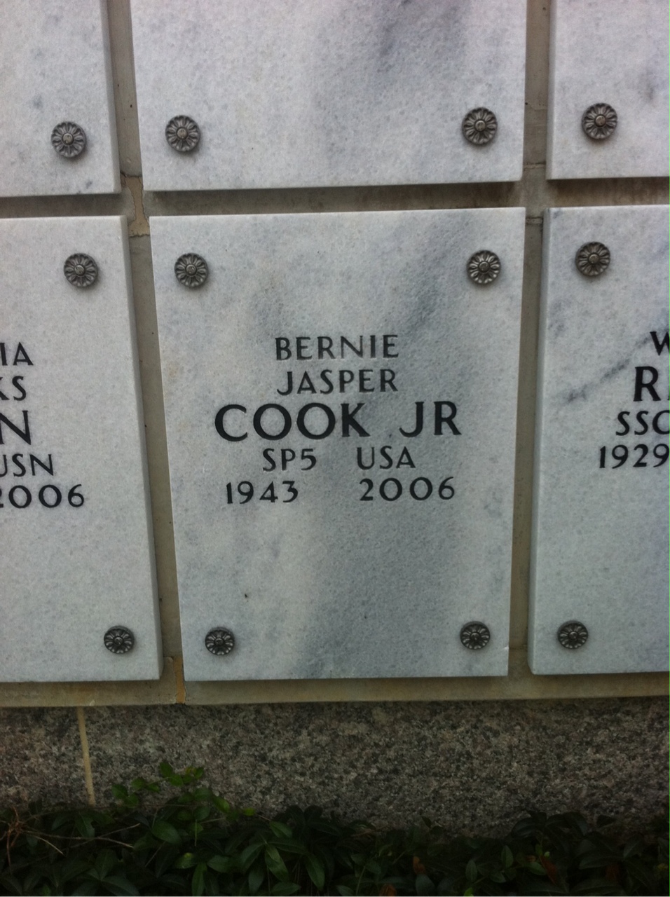 Bernie Cook
