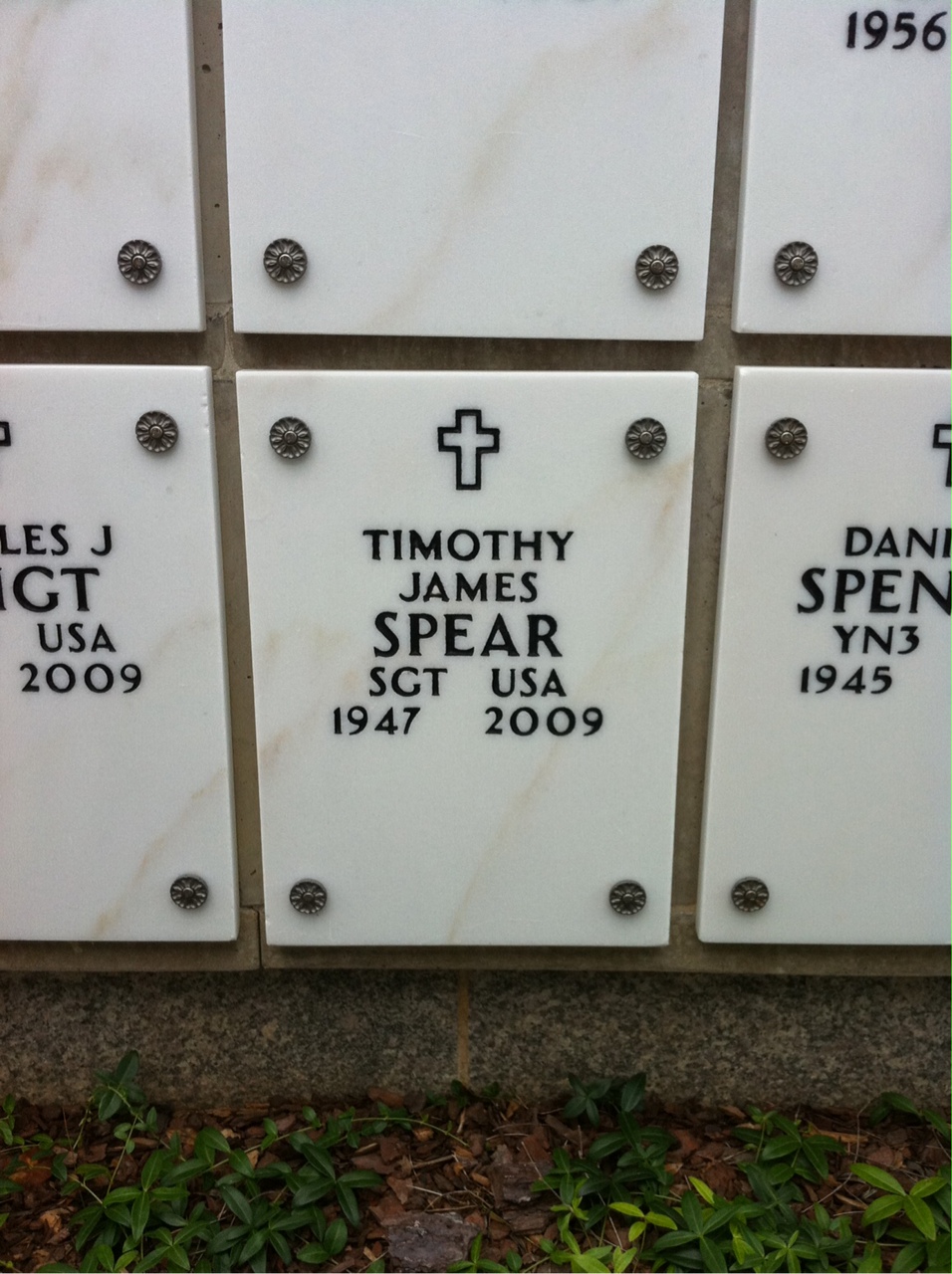 Timothy J Spear