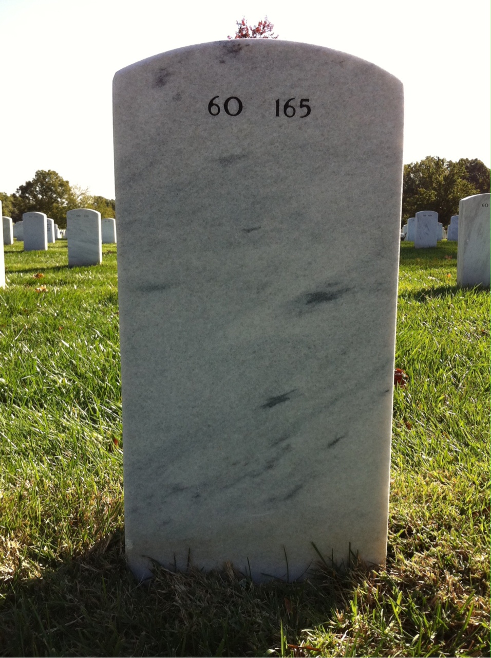 Back of headstone — George Chapman