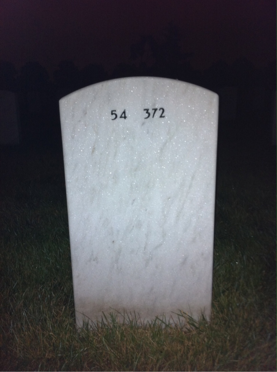 Back of headstone — Frances Taylor