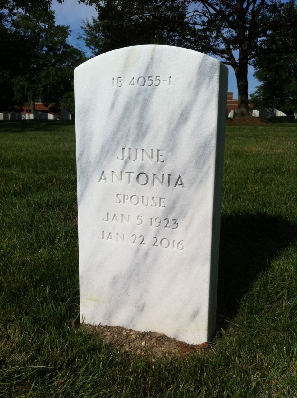 Back of headstone — Francis Mikulis
