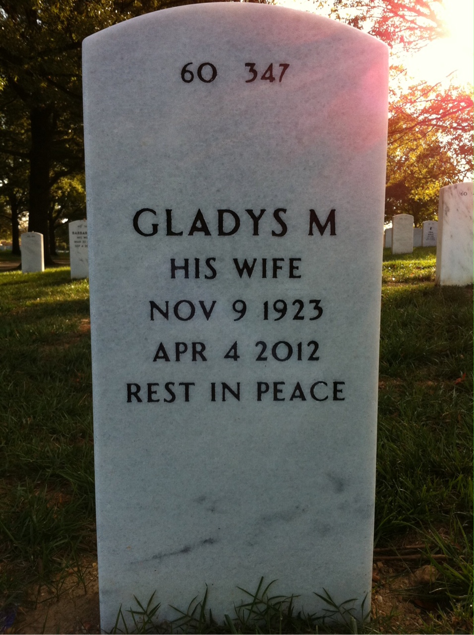 Back of headstone — Lucius Theus