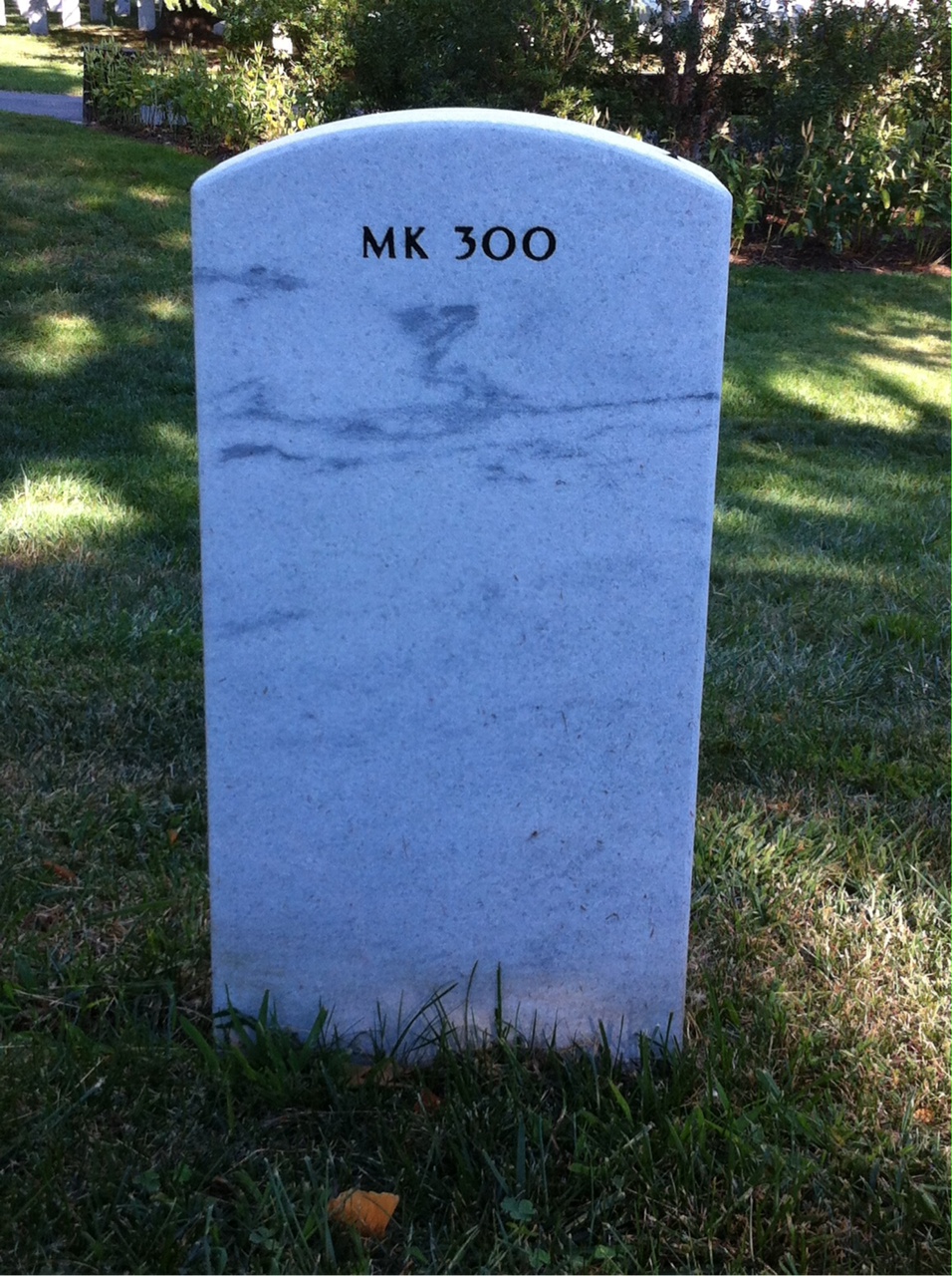 Headstone of Clarence Edward Boyle Jr.