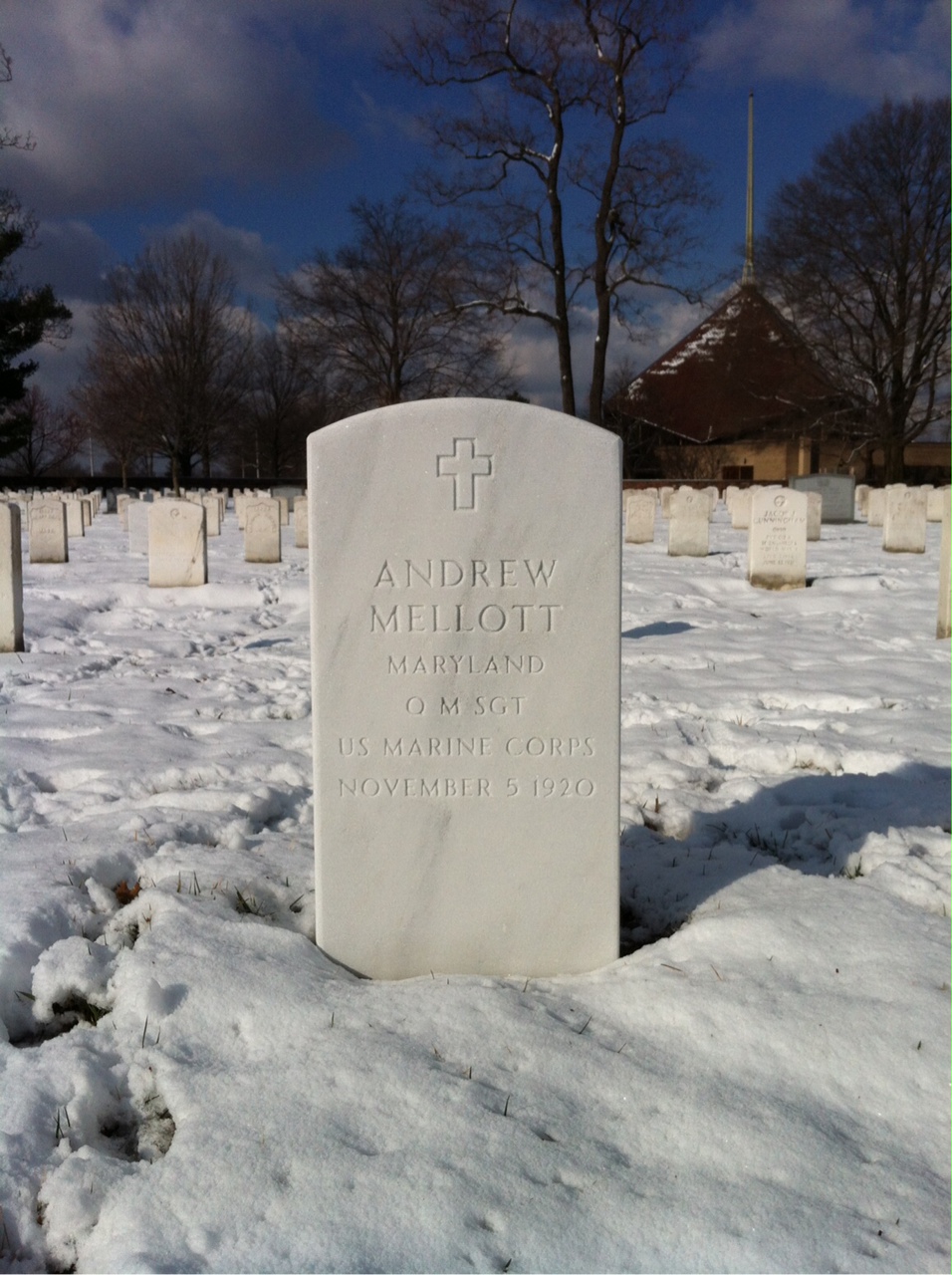 Andrew Mellott