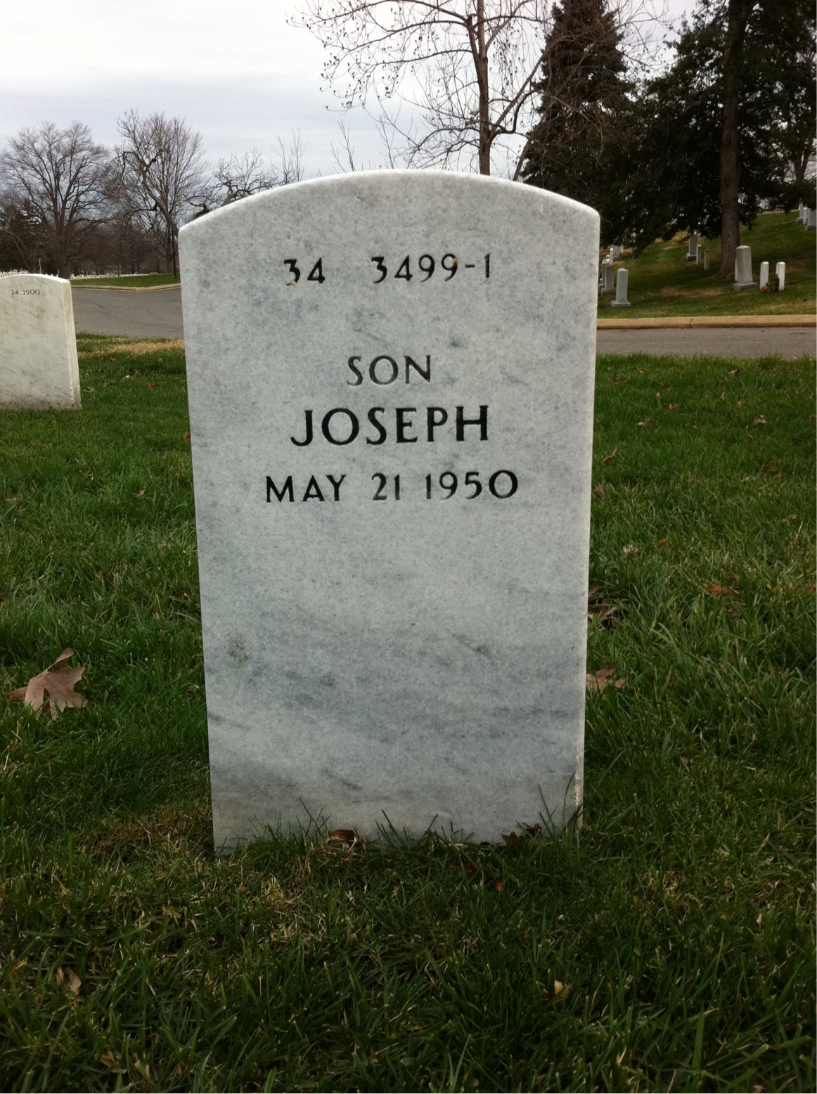 Back of headstone — Elio Serra
