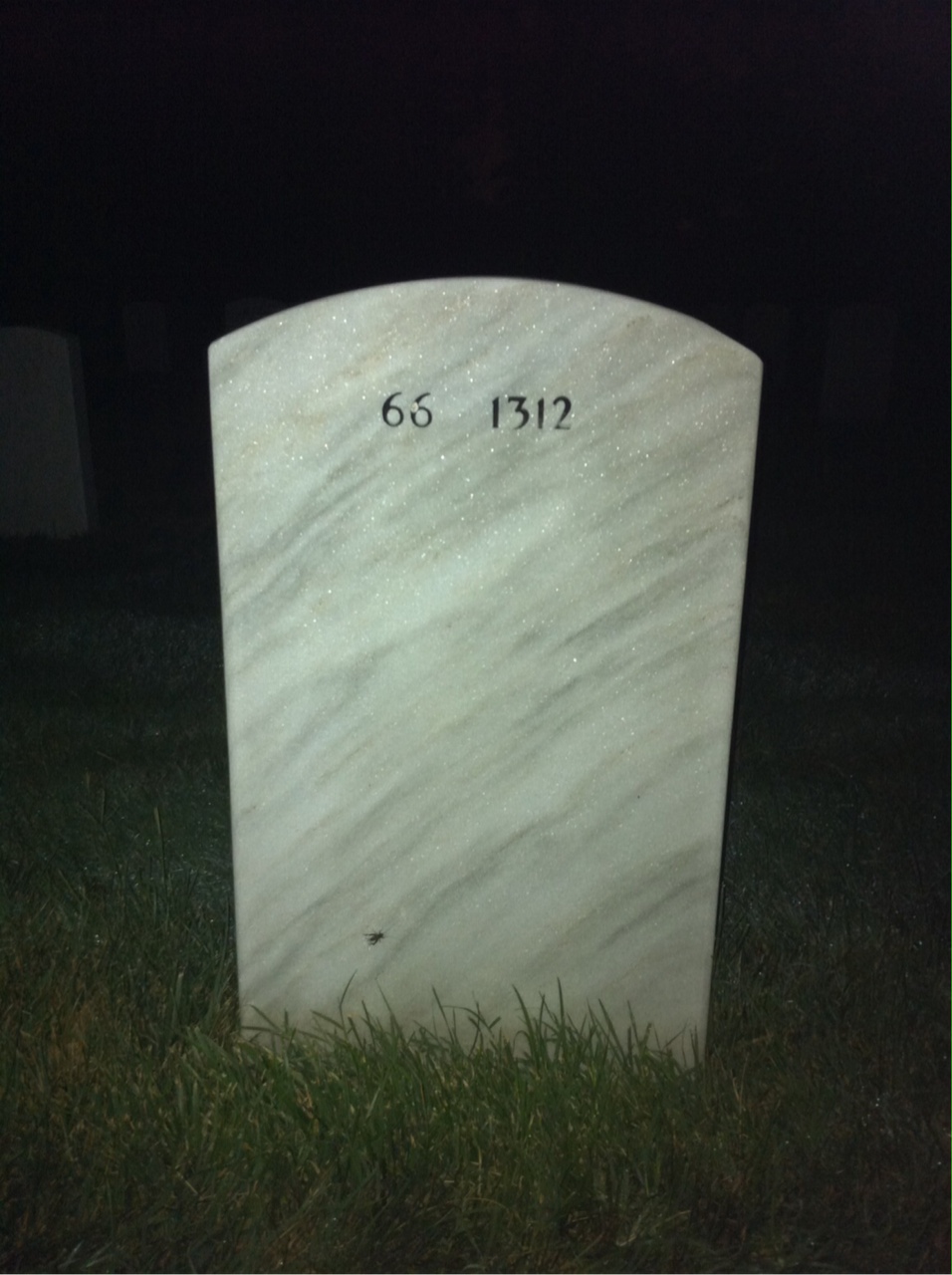 Back of headstone — Terry Kelly