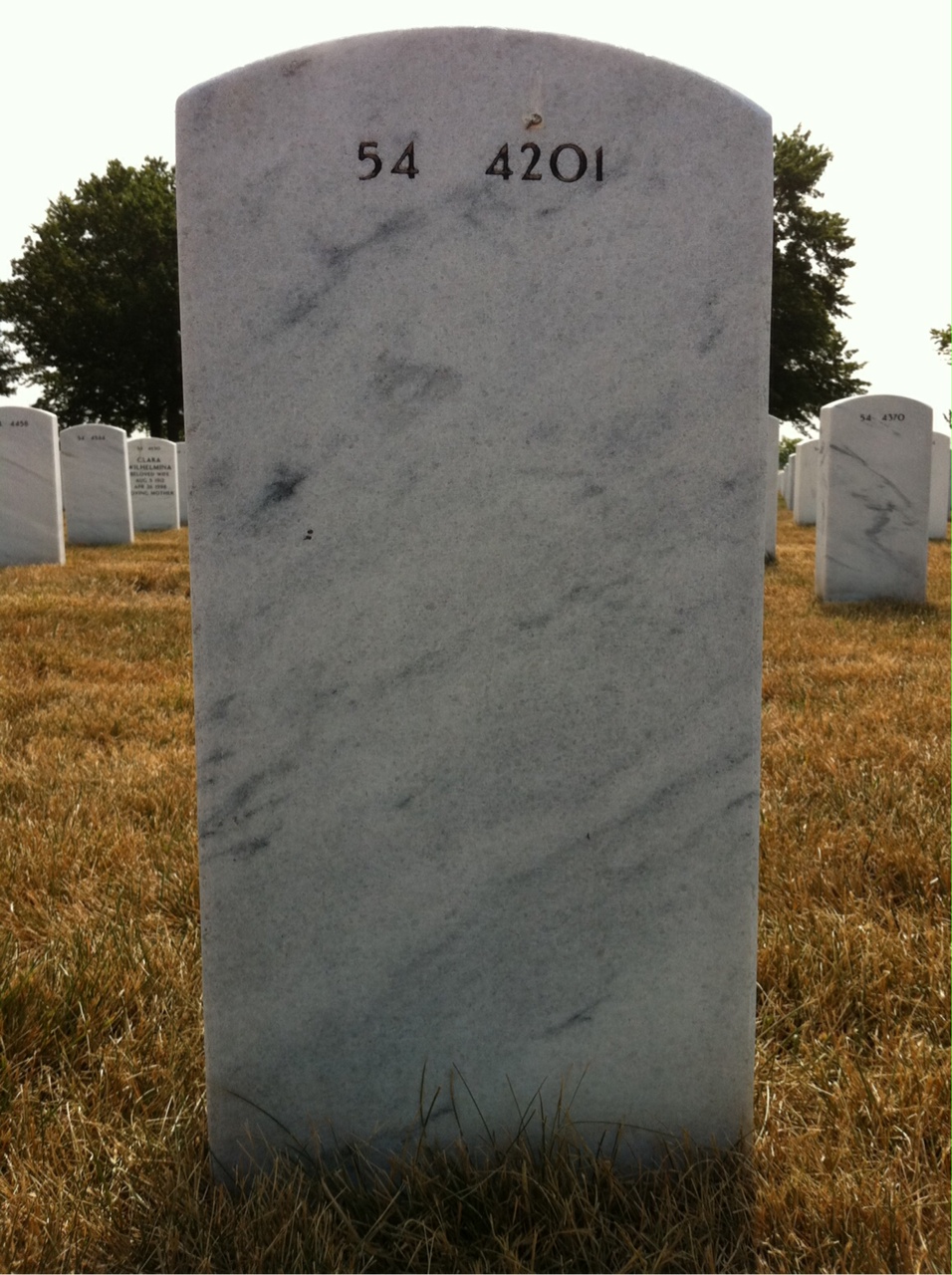 Back of headstone — Loranzo Alexander