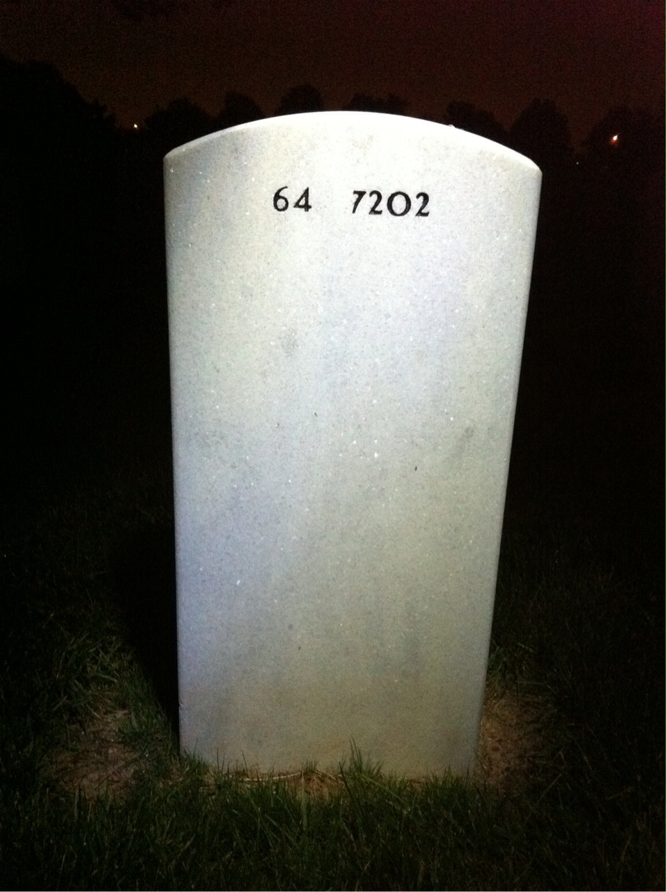 Back of headstone — Elizabeth Splaine