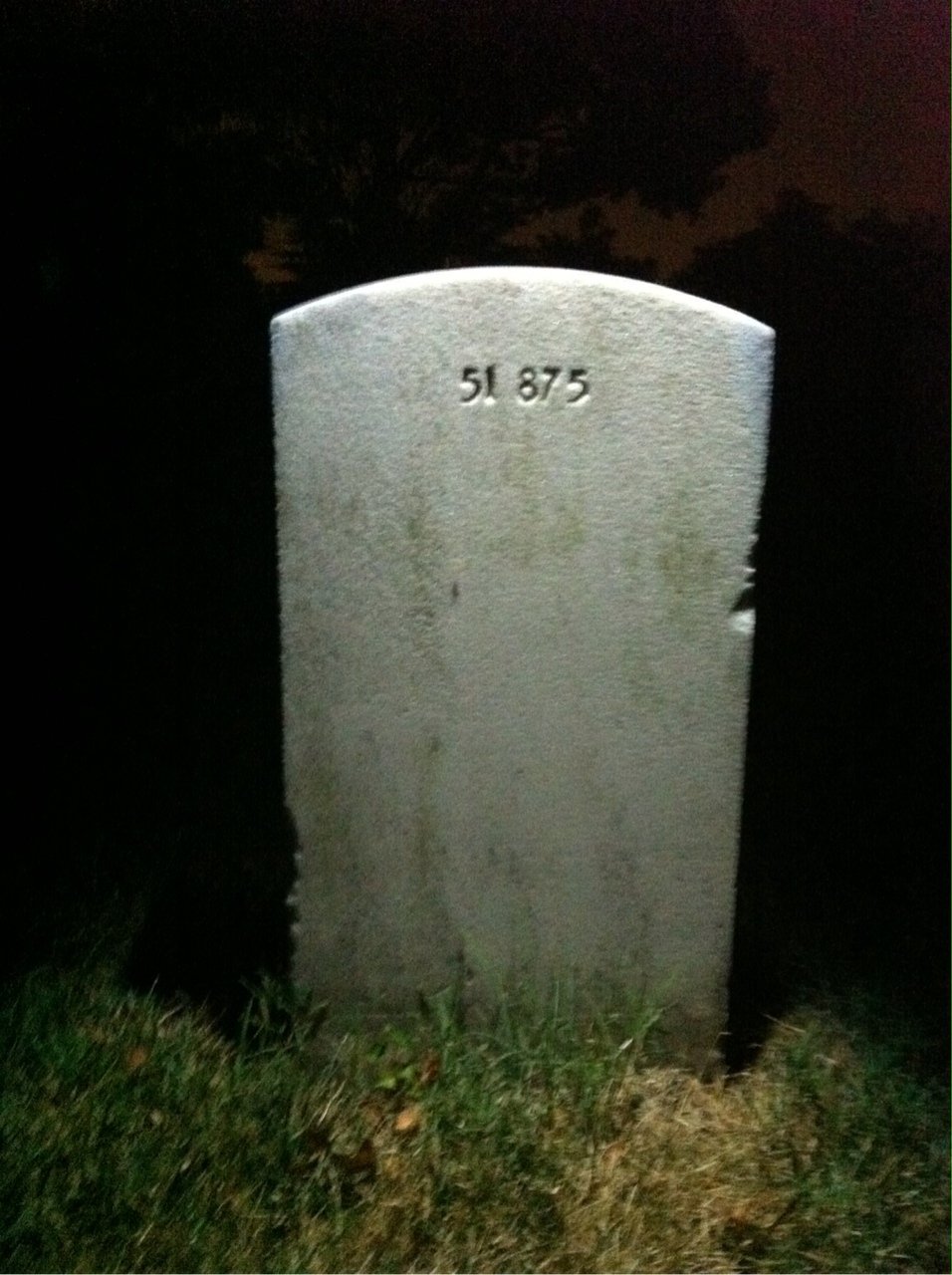 Back of headstone — Leo Mitchell