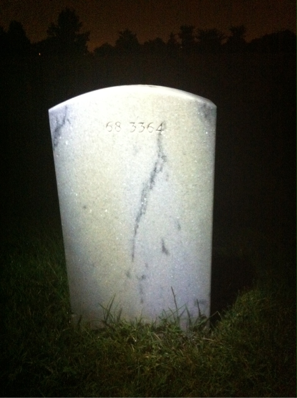 Back of headstone — Michael Alston