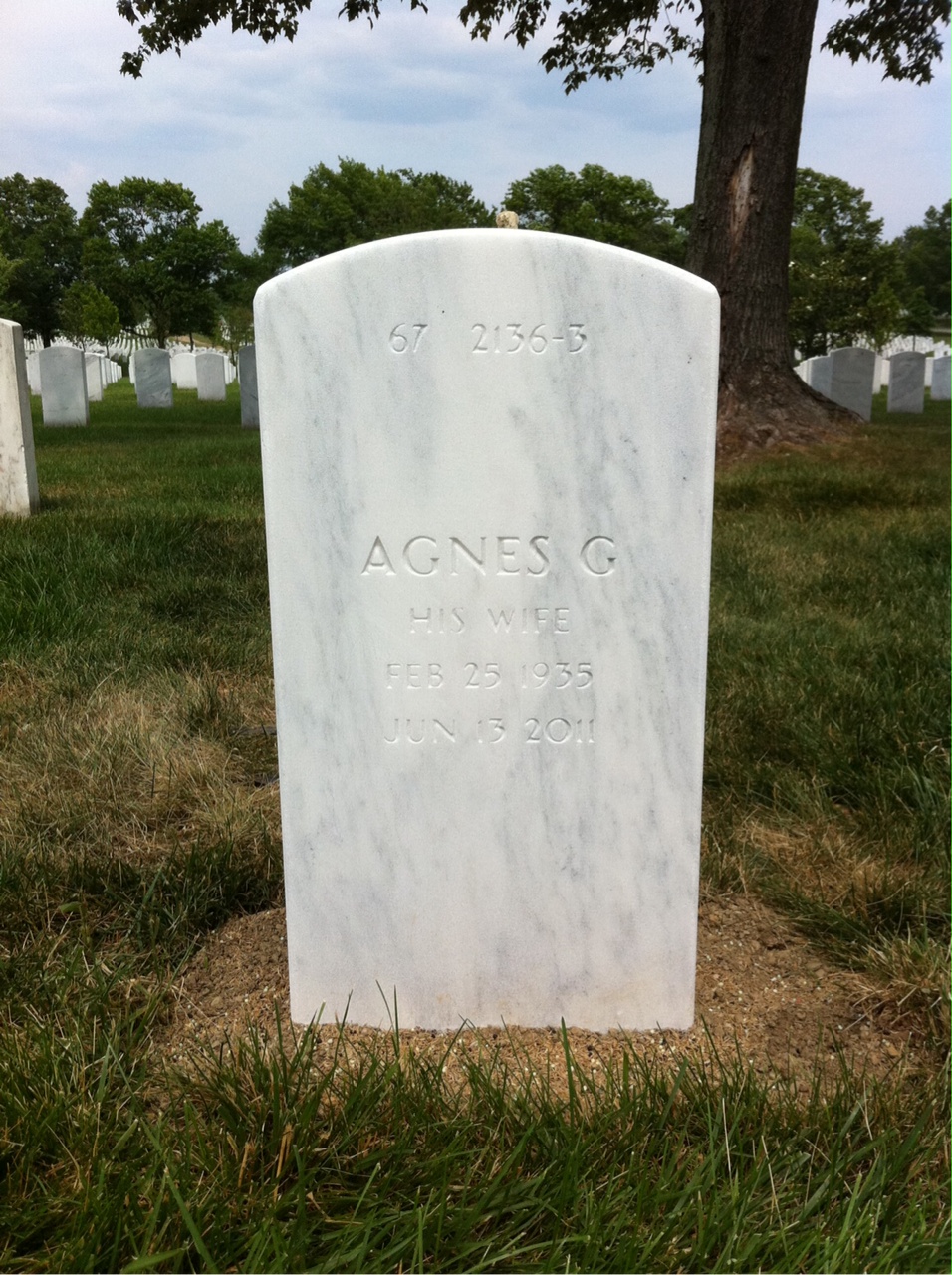 Back of headstone — Agnes Noonan