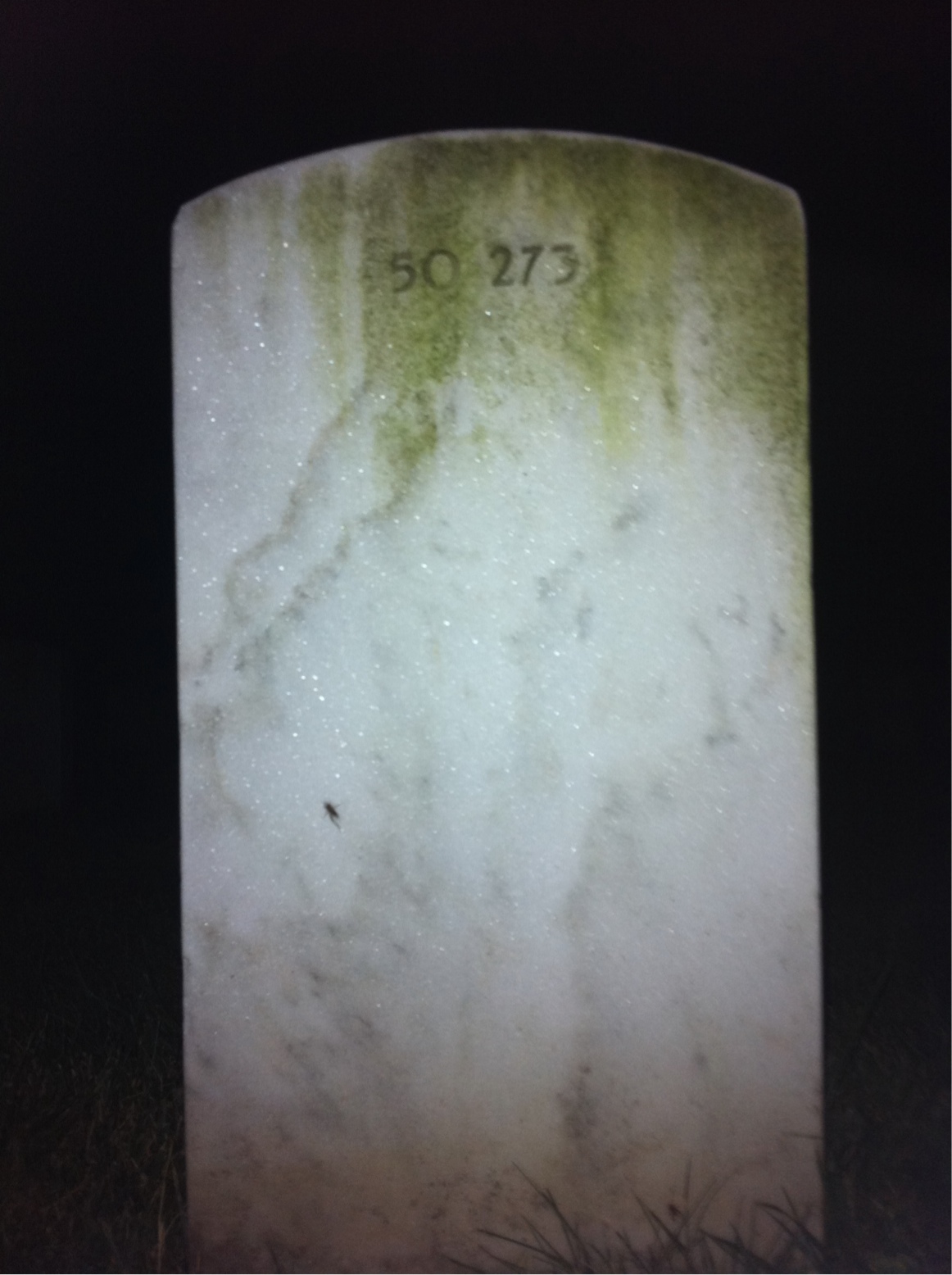 Back of headstone — Donald Moon