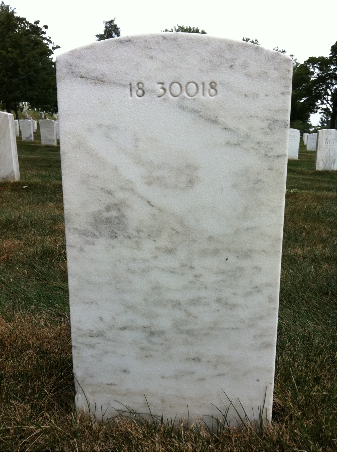 Back of headstone — Francis Murray