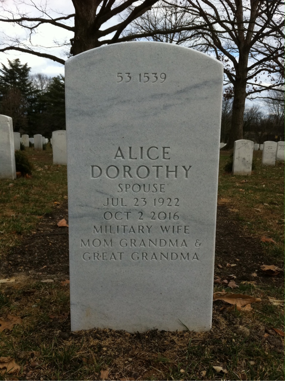 Back of headstone — Alfred Taves