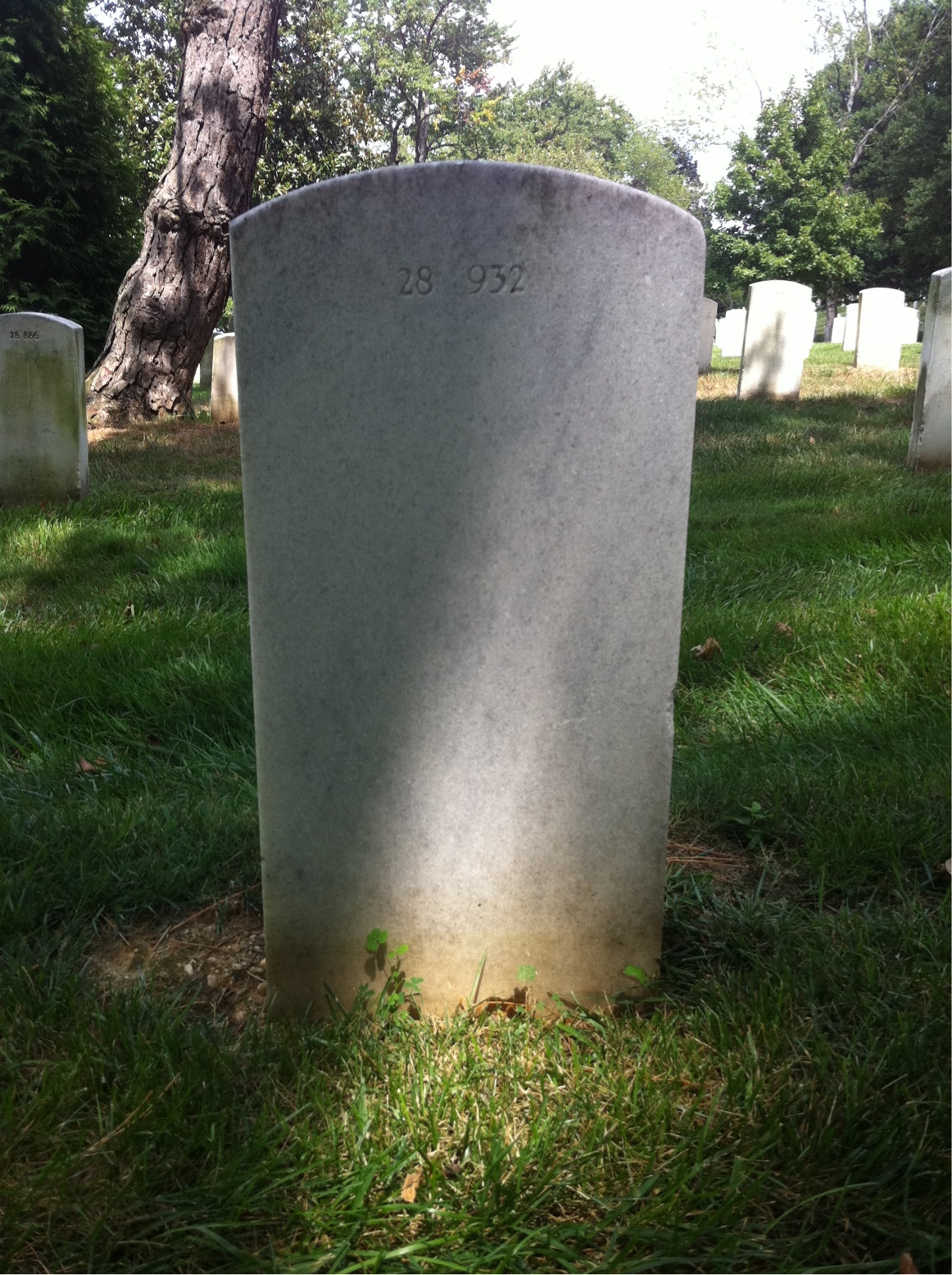 Back of headstone — June Ayers