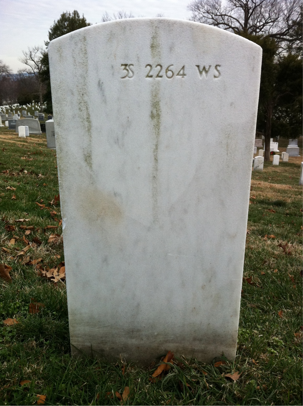 Back of headstone — Roger Bagnall