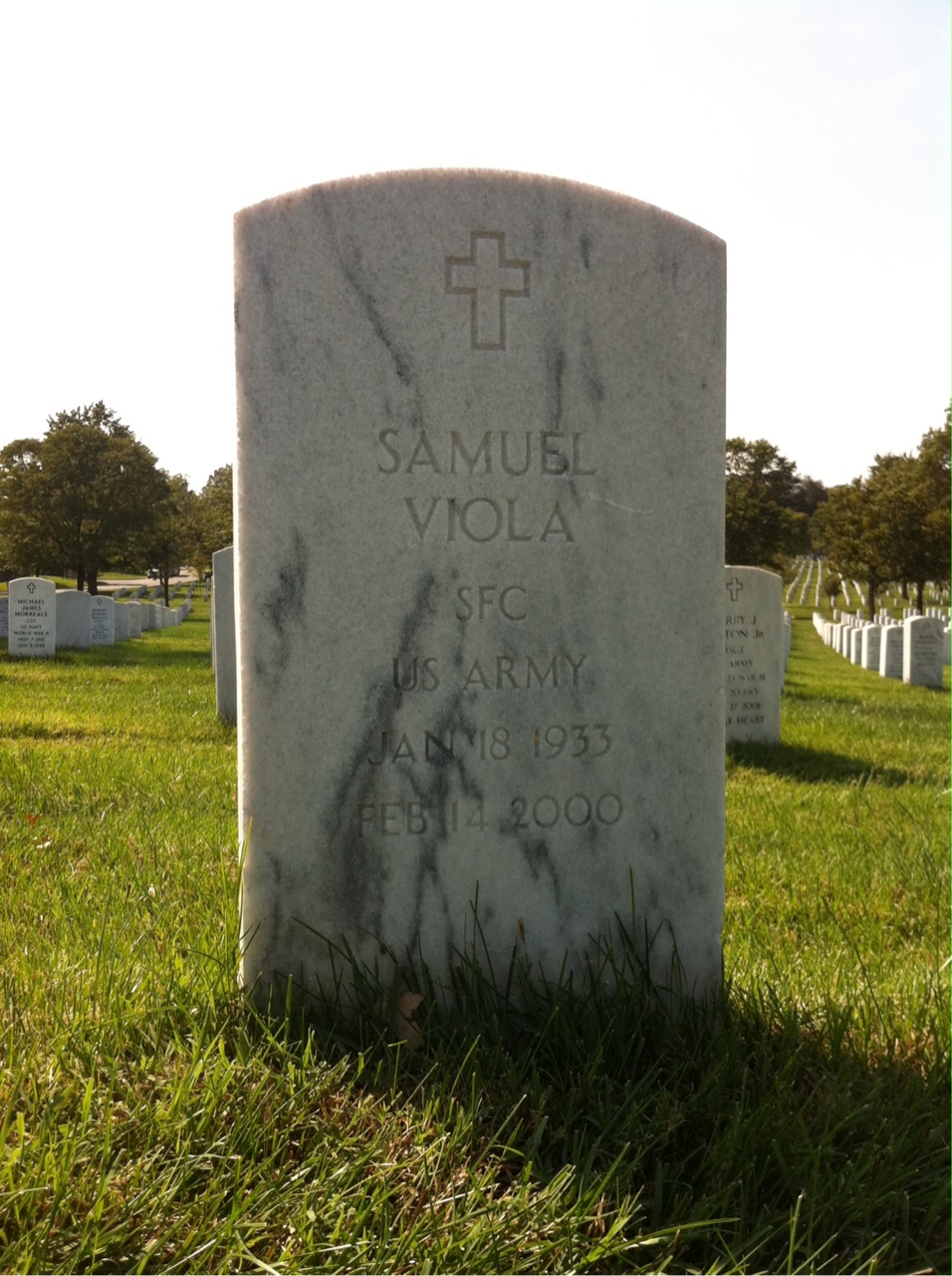Samuel Viola