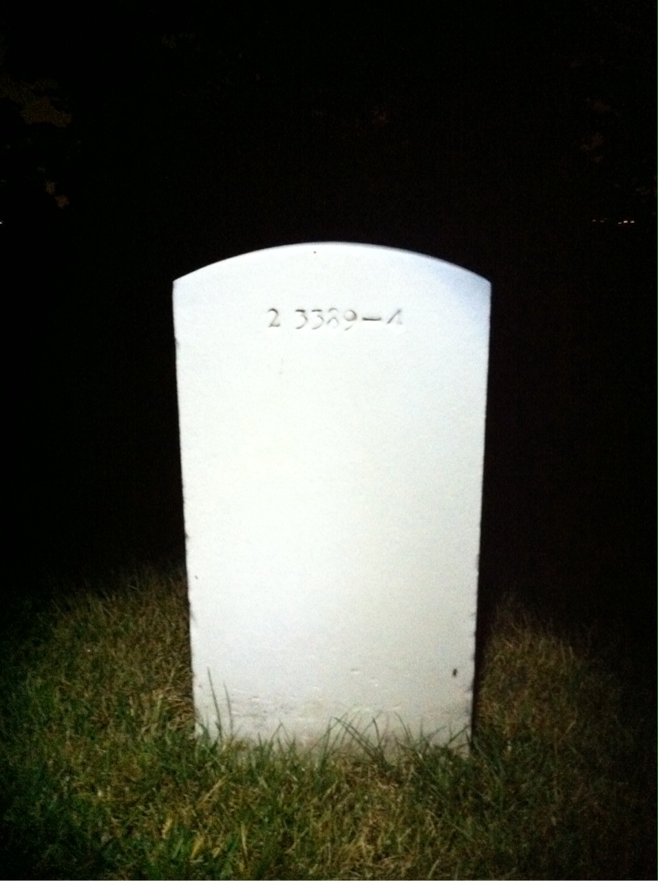 Back of headstone — William W Brown