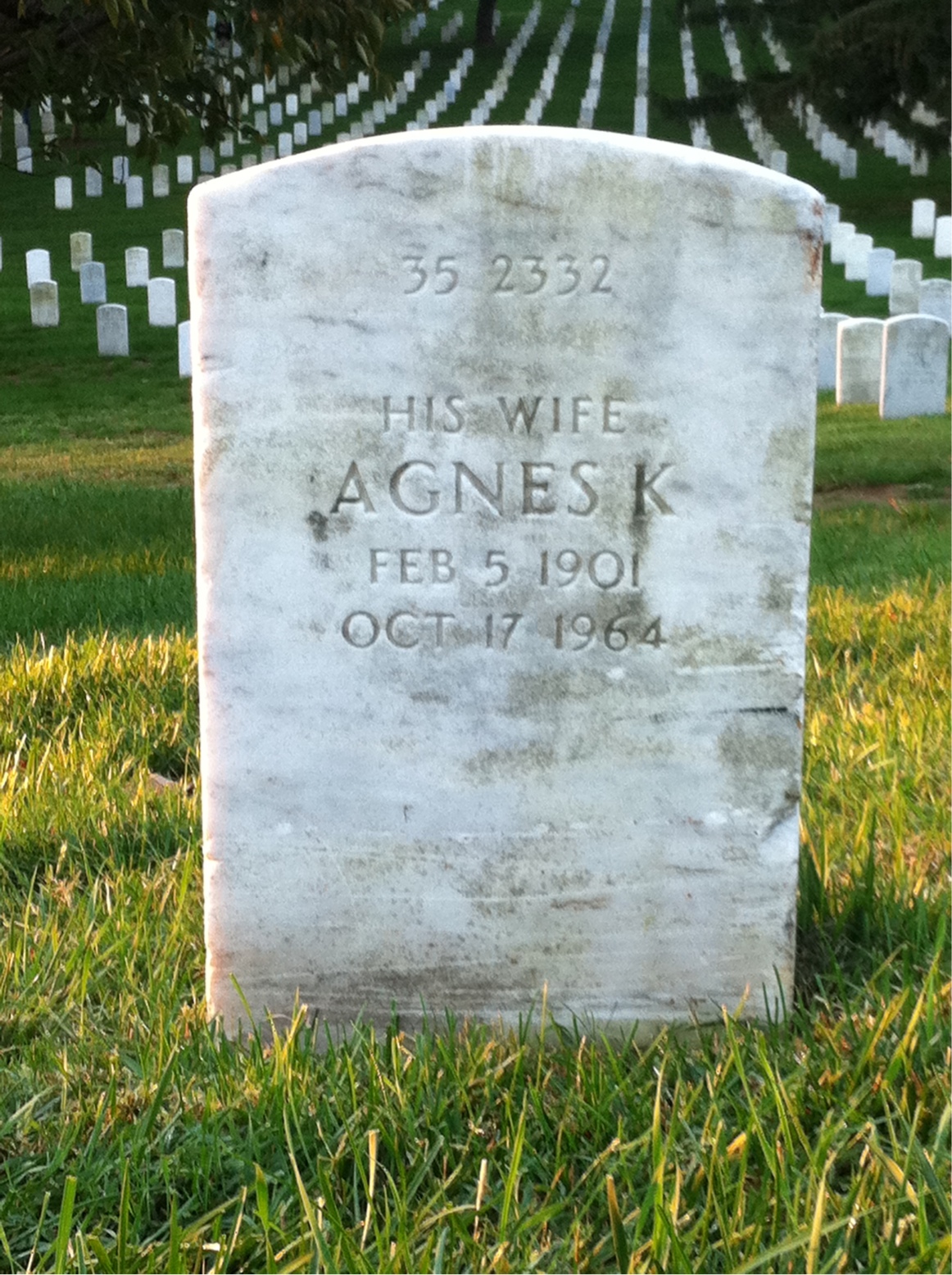 Back of headstone — Agnes Love