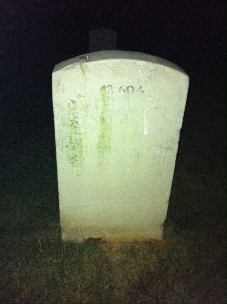 Back of headstone — William S Thomas