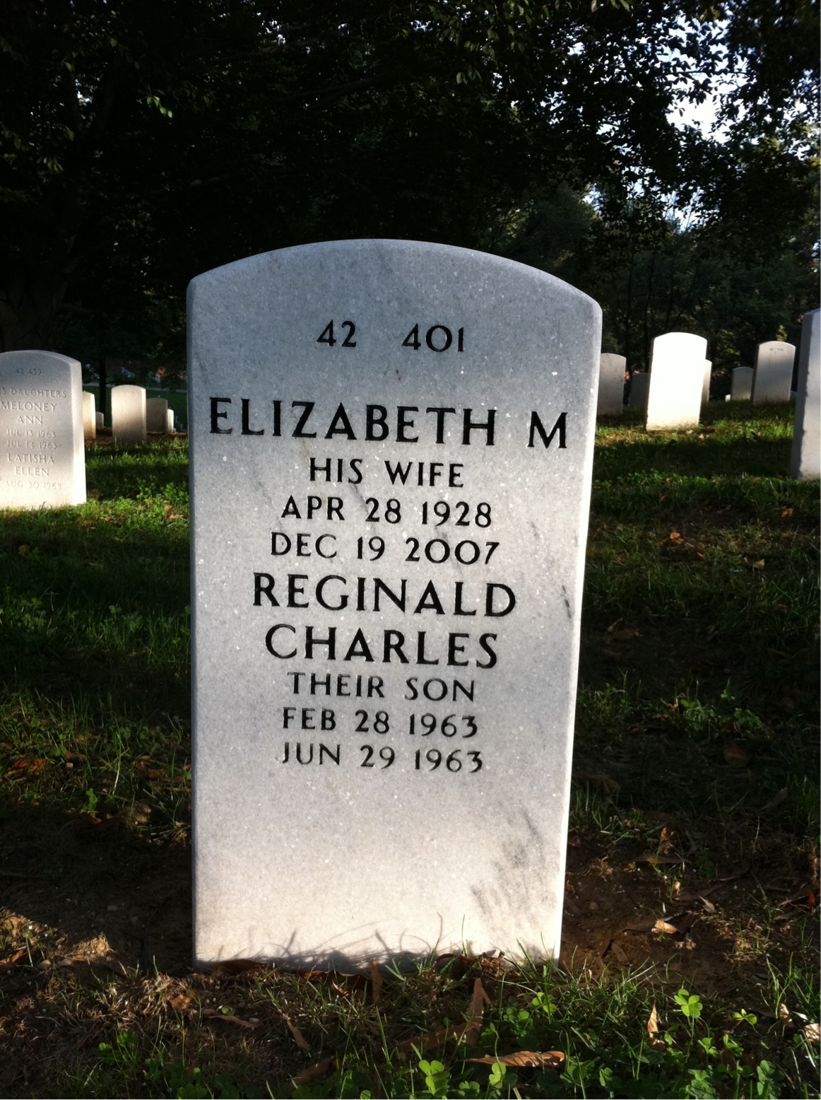 Back of headstone — Robert Brown
