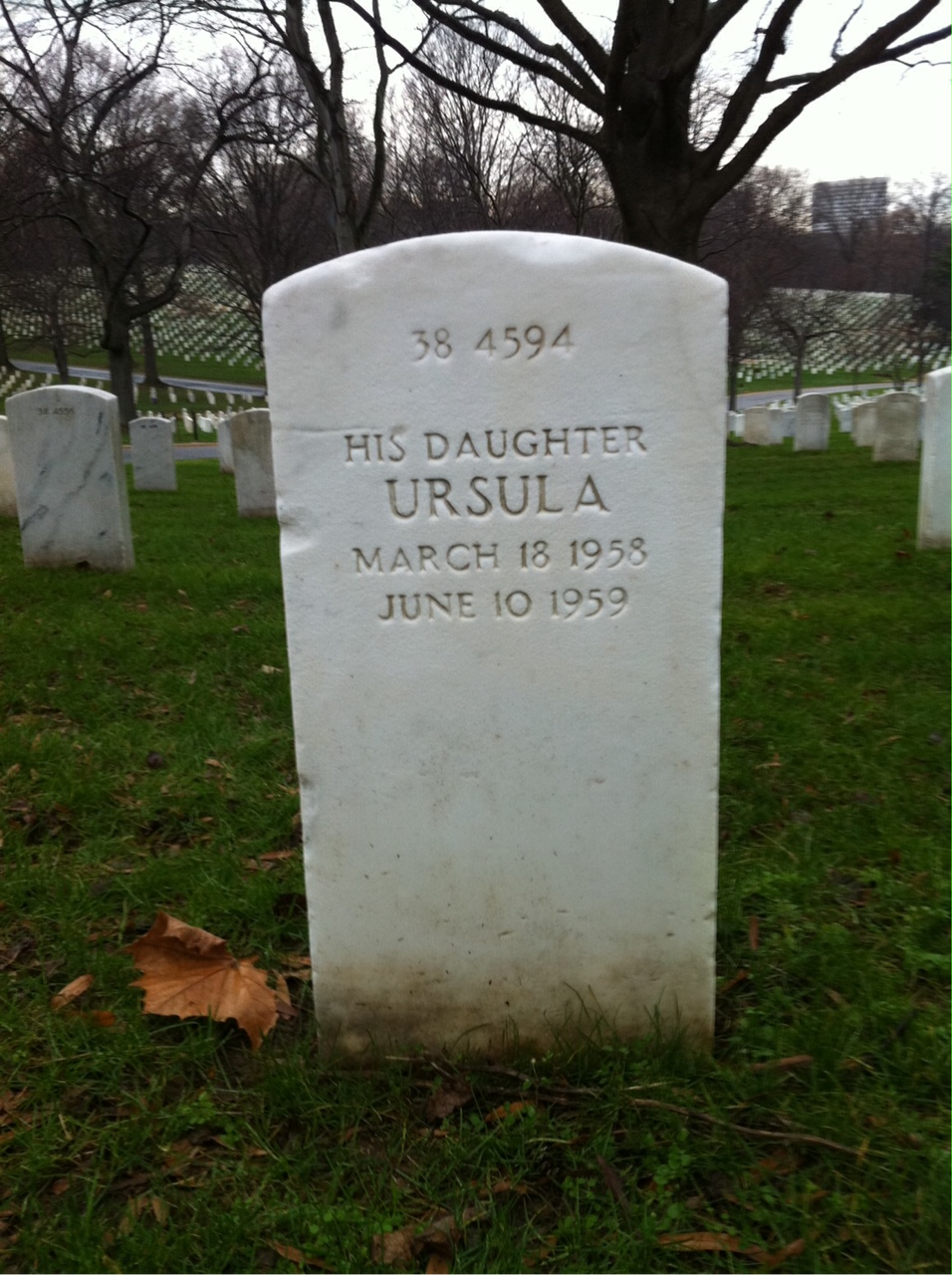 Back of headstone — Joseph Adamany
