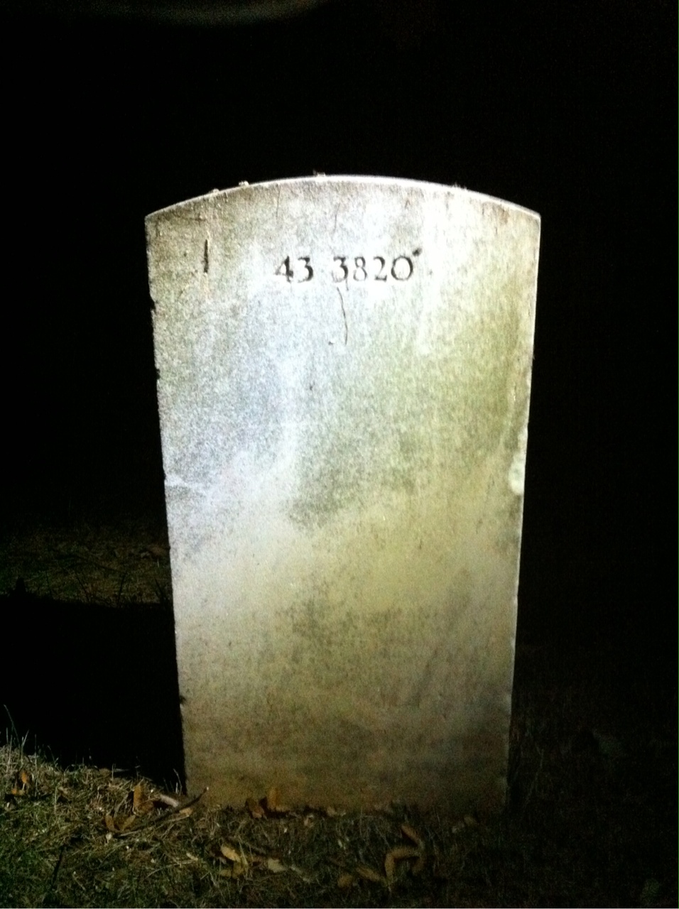 Back of headstone — Albert Mitchell