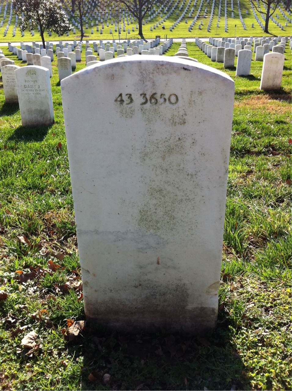 Back of headstone — Joseph Collins