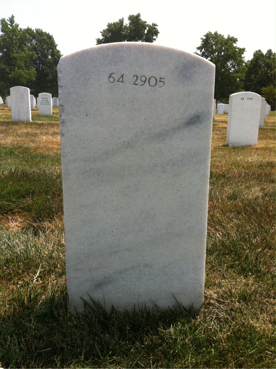 Back of headstone — Frances L Cisna