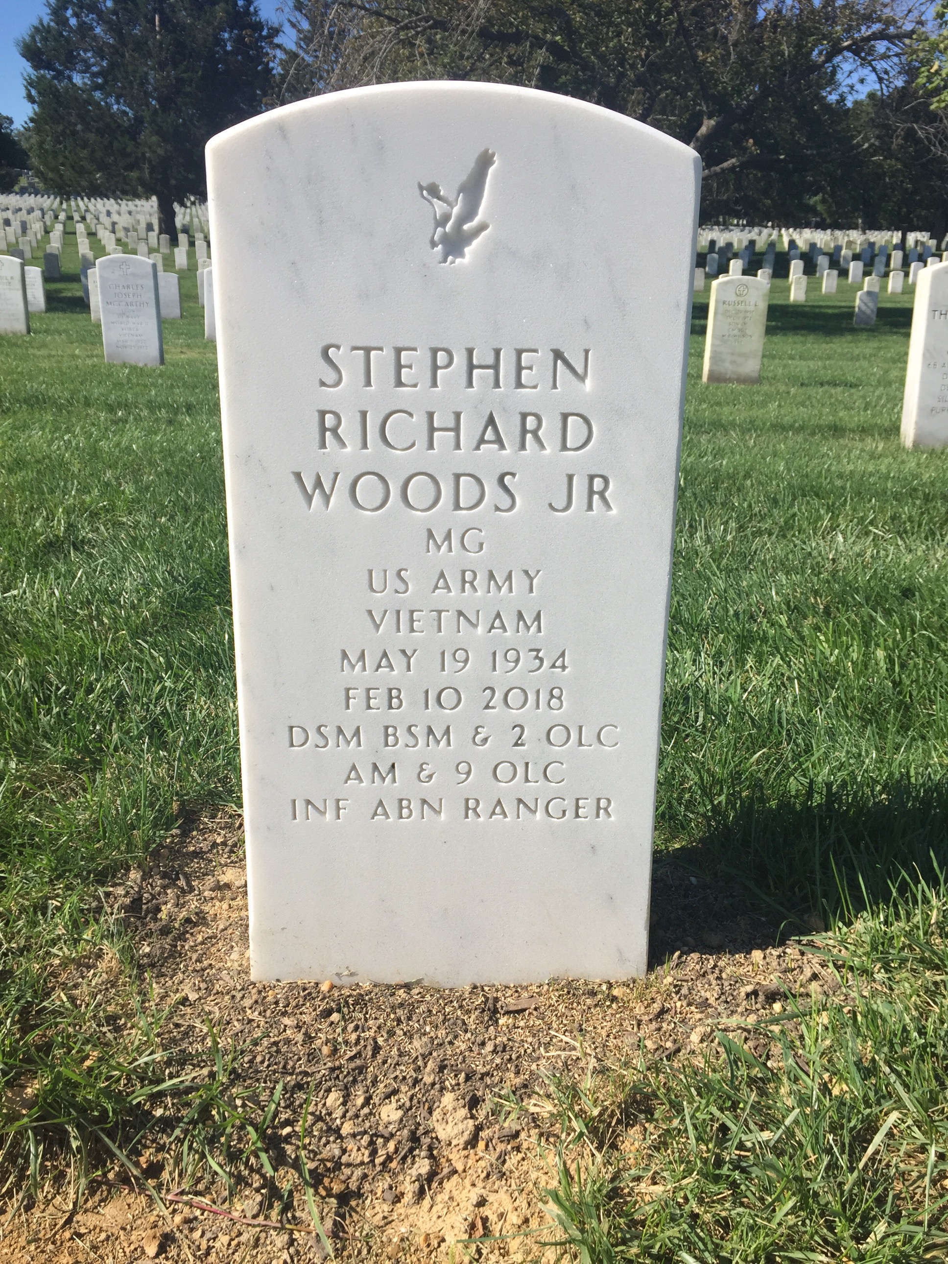 Stephen R Woods
