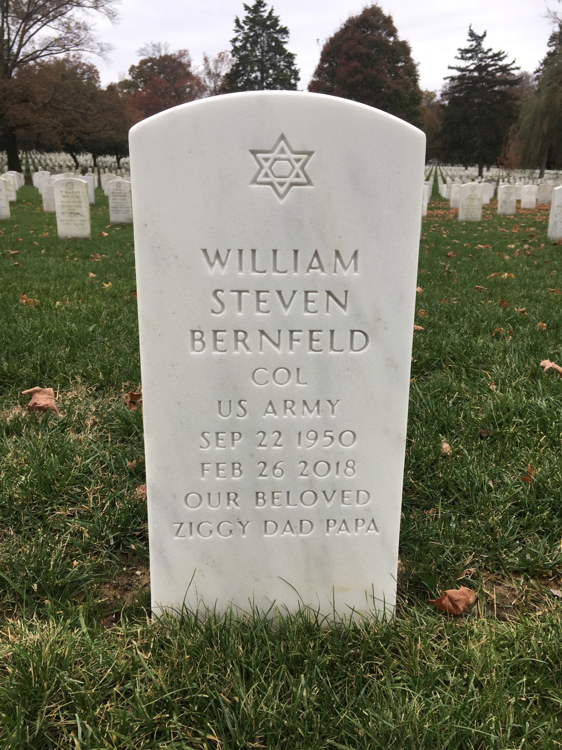 William S Bernfeld