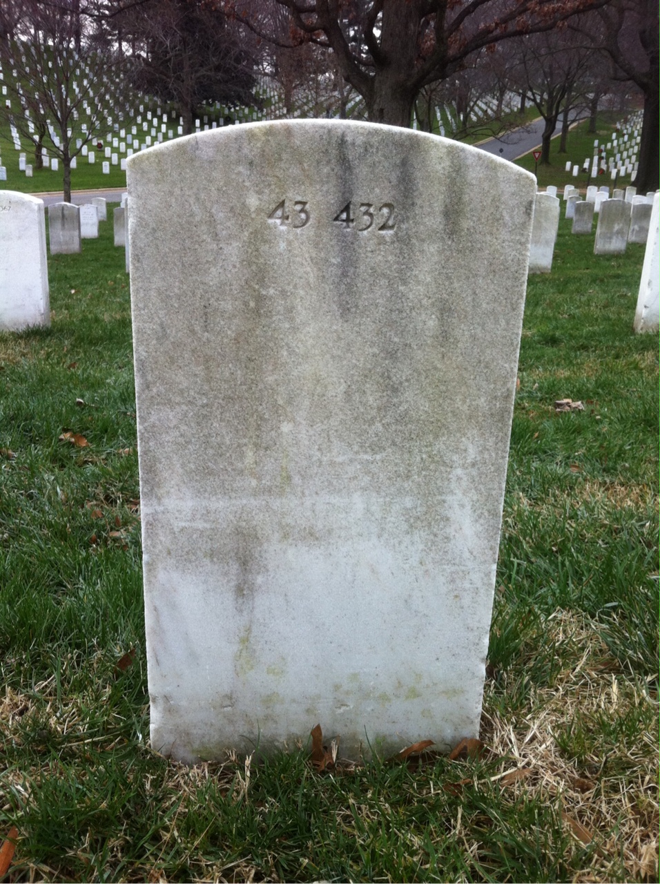 Back of headstone — Louis Muzzio
