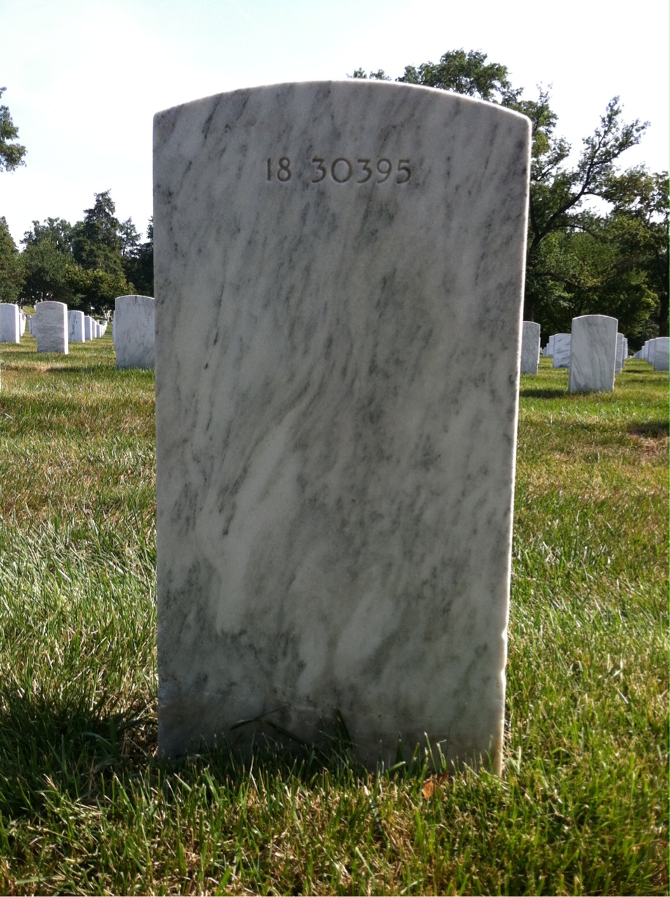 Back of headstone — Leonard Alphin
