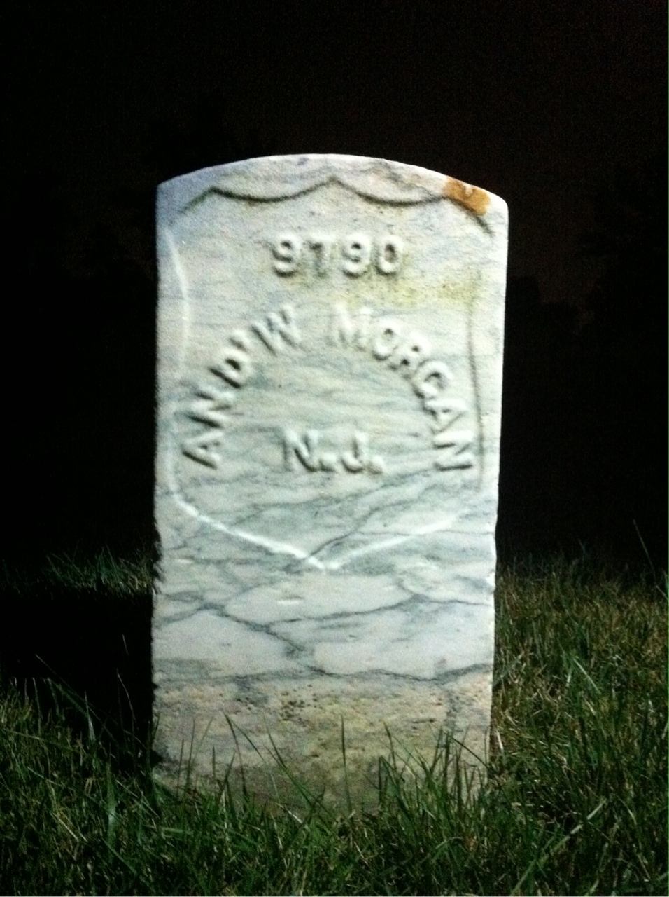 Andrew Morgan