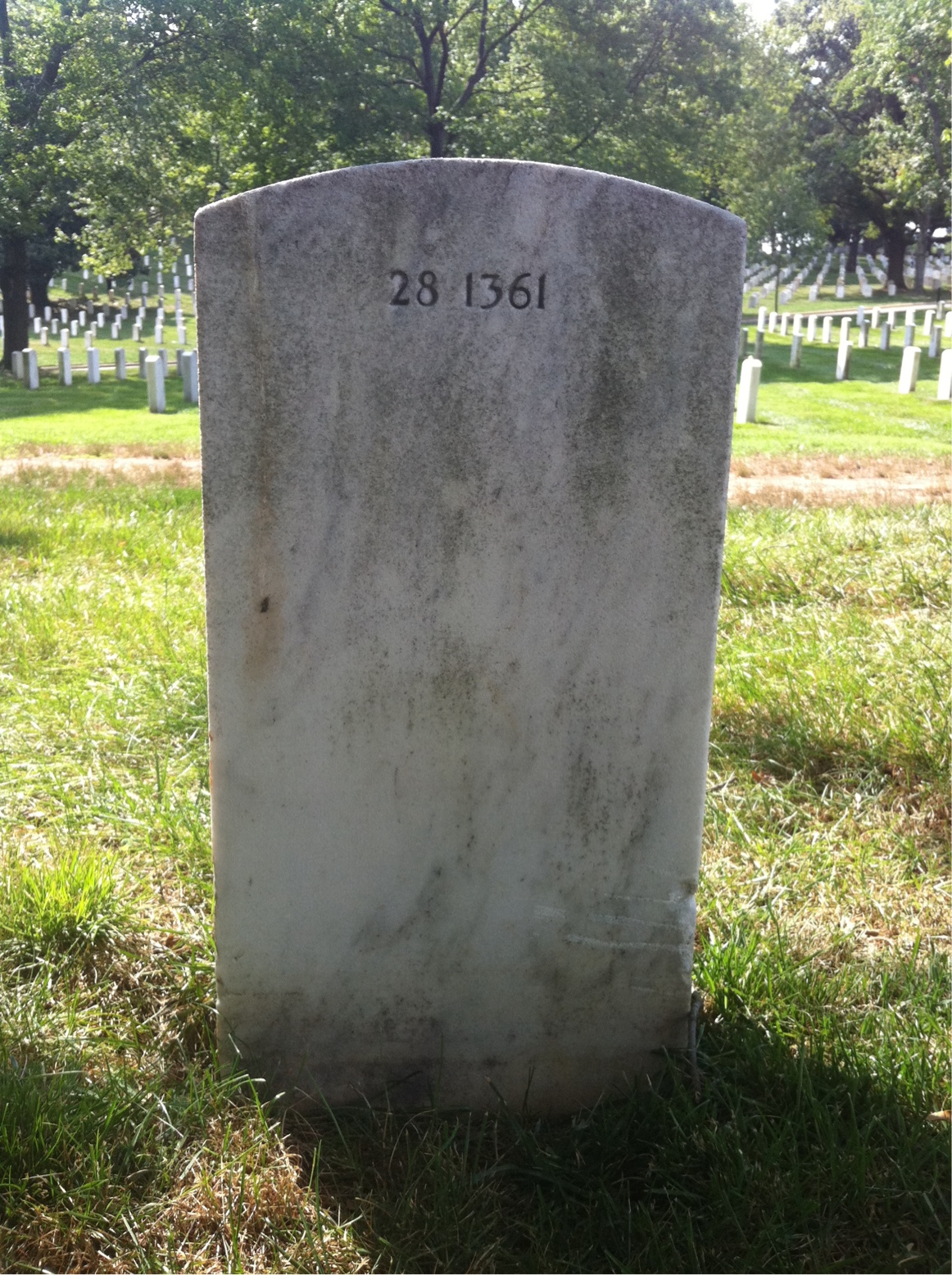 Back of headstone — Chandral Amaker