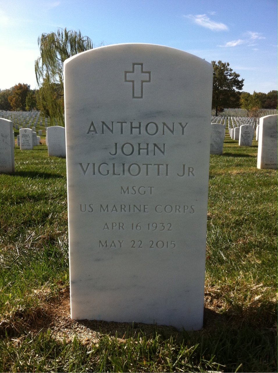 Anthony J Vigliotti