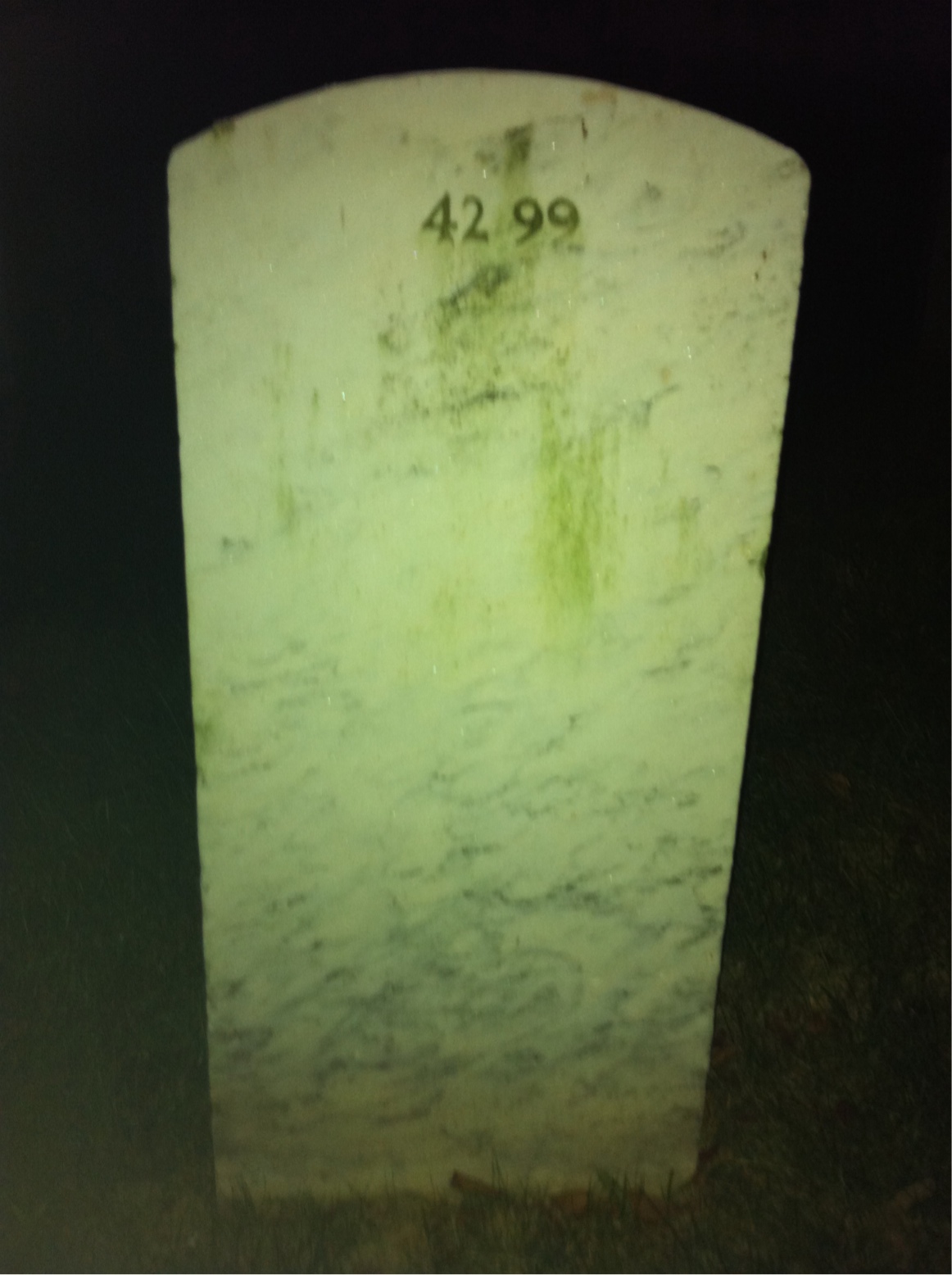 Back of headstone — Becky Mizrahi