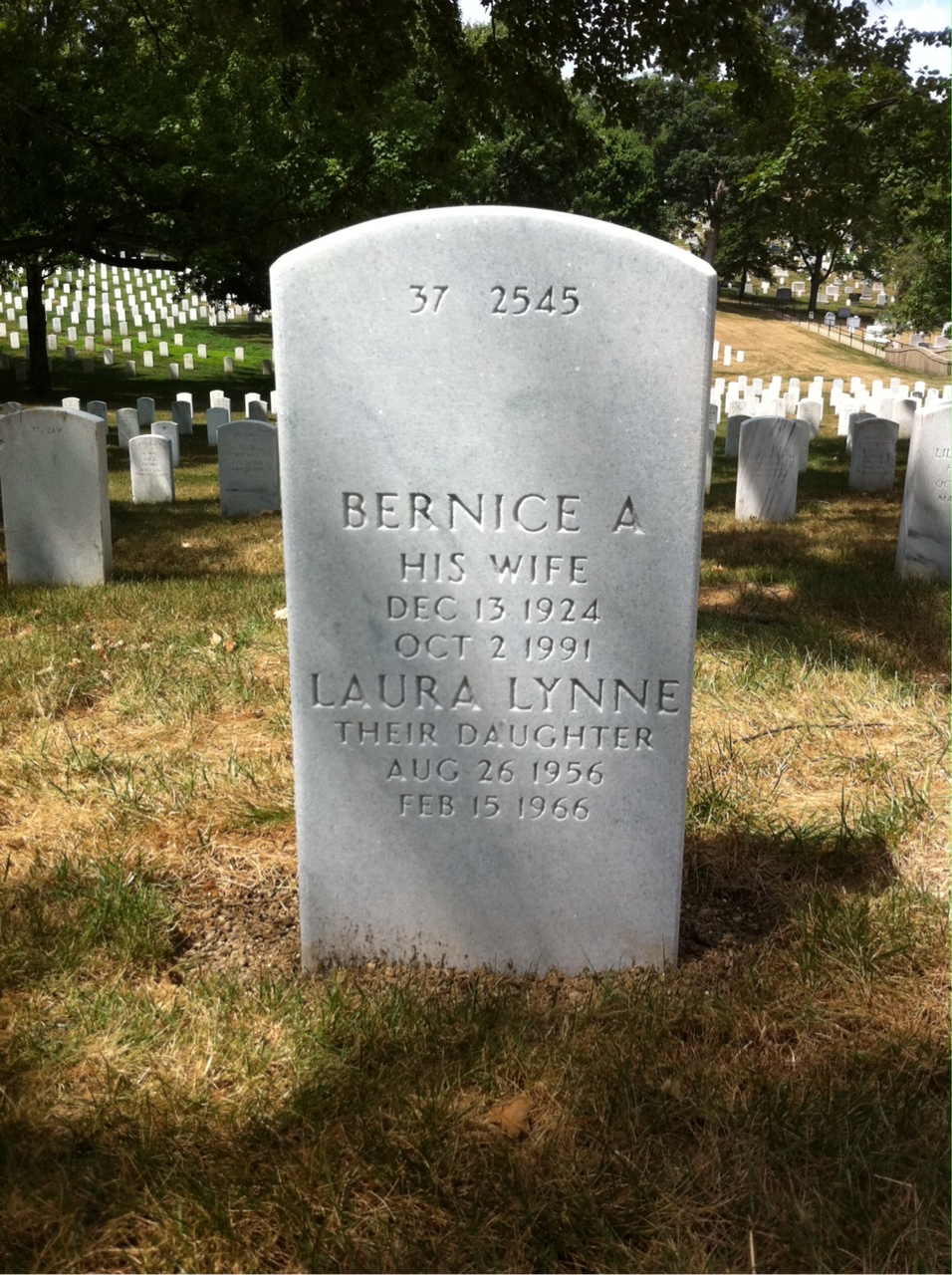 Back of headstone — William Welnick