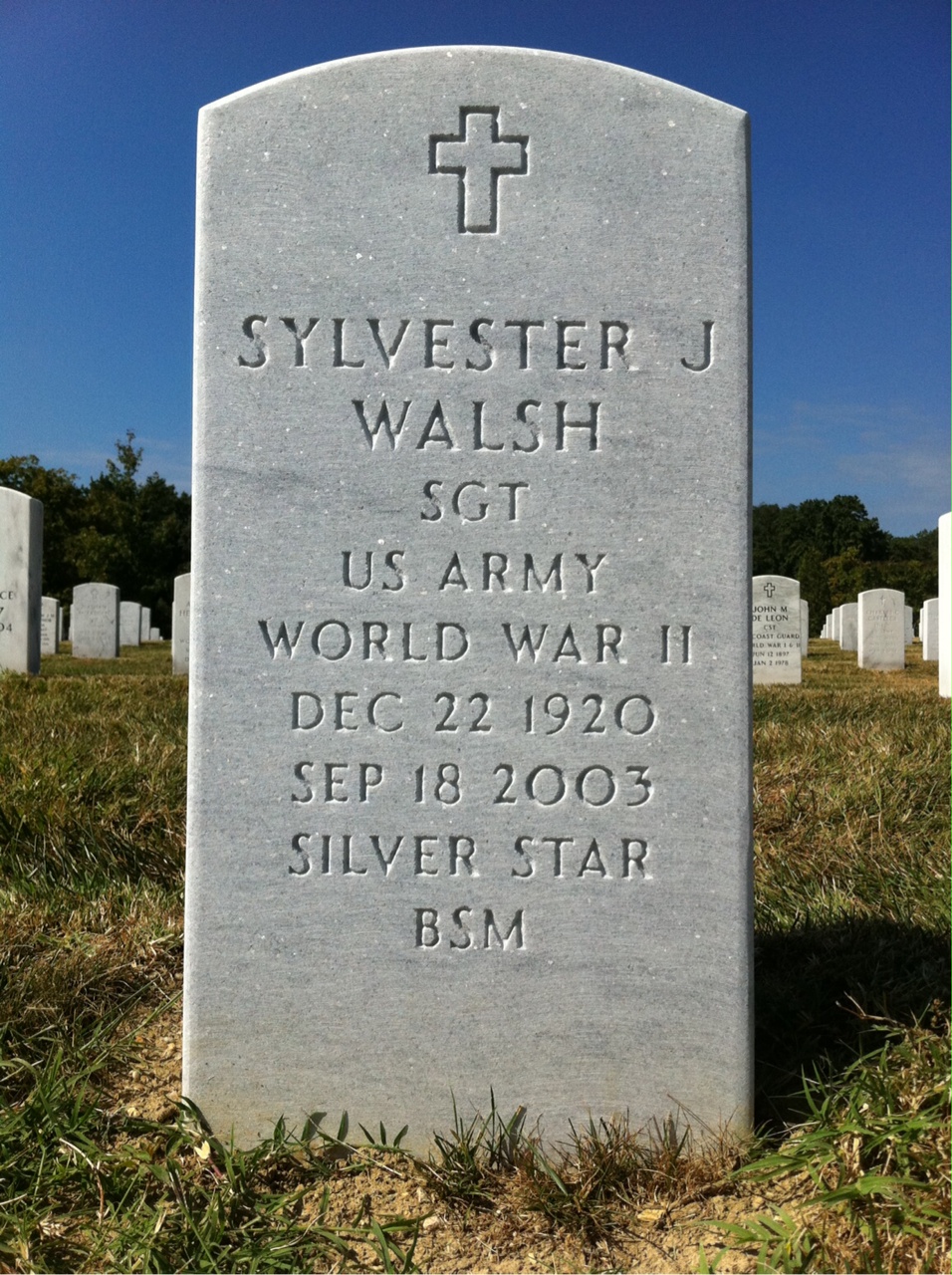 Sylvester Walsh
