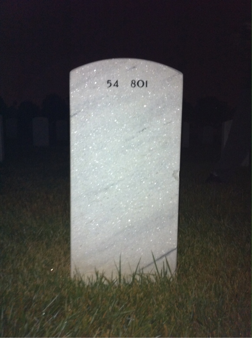 Back of headstone — Theodore Wolan
