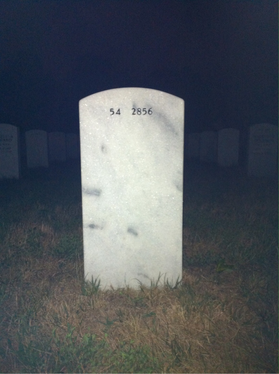 Back of headstone — Alonzo Cox